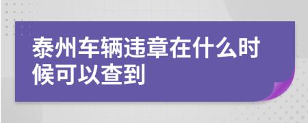 泰州车辆违章在什么时候可以查到