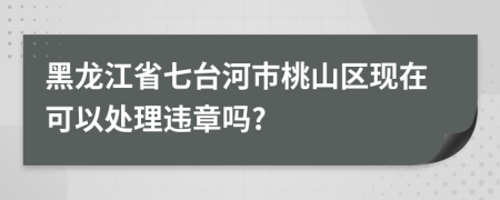 黑龙江省七台河市桃山区现在可以处理违章吗?