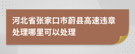 河北省张家口市蔚县高速违章处理哪里可以处理