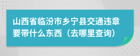 山西省临汾市乡宁县交通违章要带什么东西（去哪里查询）