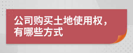 公司购买土地使用权，有哪些方式