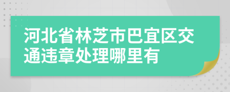 河北省林芝市巴宜区交通违章处理哪里有