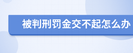 被判刑罚金交不起怎么办