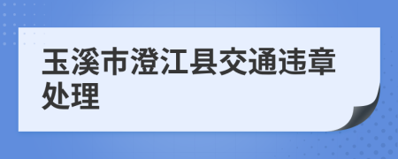 玉溪市澄江县交通违章处理