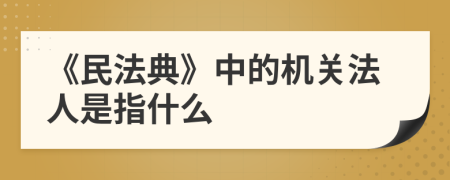 《民法典》中的机关法人是指什么