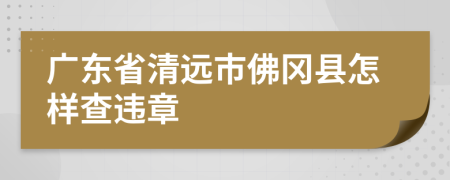 广东省清远市佛冈县怎样查违章