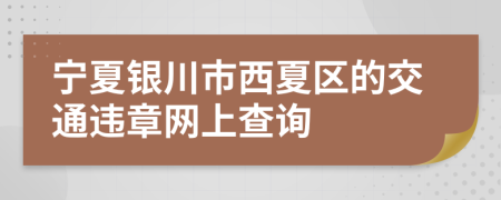 宁夏银川市西夏区的交通违章网上查询