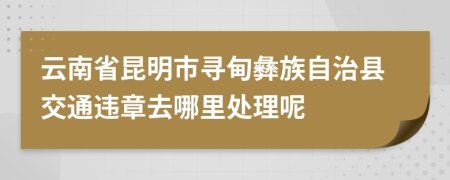 云南省昆明市寻甸彝族自治县交通违章去哪里处理呢