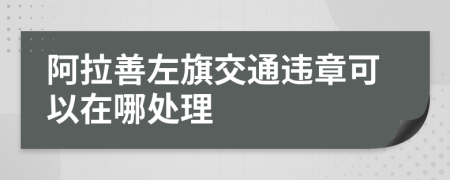 阿拉善左旗交通违章可以在哪处理