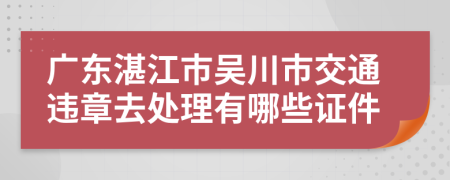 广东湛江市吴川市交通违章去处理有哪些证件