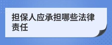 担保人应承担哪些法律责任