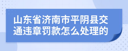 山东省济南市平阴县交通违章罚款怎么处理的