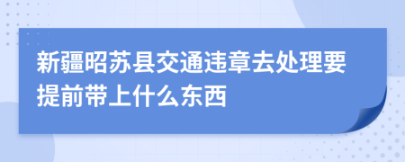 新疆昭苏县交通违章去处理要提前带上什么东西