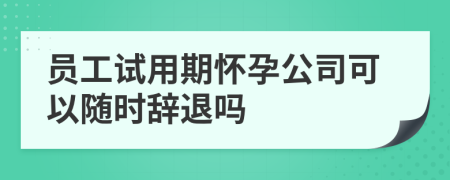 员工试用期怀孕公司可以随时辞退吗