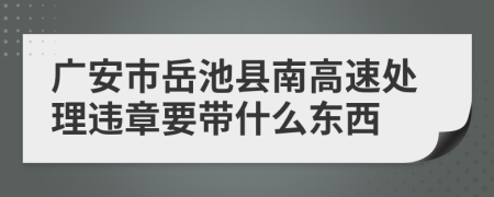 广安市岳池县南高速处理违章要带什么东西