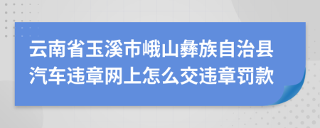 云南省玉溪市峨山彝族自治县汽车违章网上怎么交违章罚款