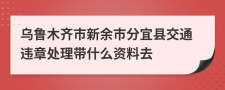 乌鲁木齐市新余市分宜县交通违章处理带什么资料去