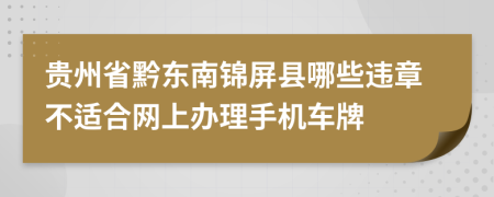 贵州省黔东南锦屏县哪些违章不适合网上办理手机车牌