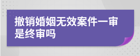 撤销婚姻无效案件一审是终审吗