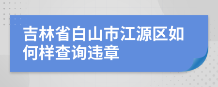 吉林省白山市江源区如何样查询违章