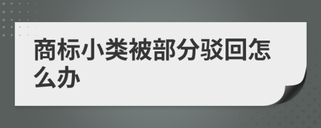 商标小类被部分驳回怎么办