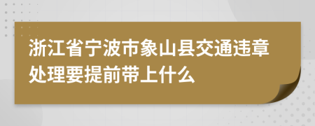 浙江省宁波市象山县交通违章处理要提前带上什么