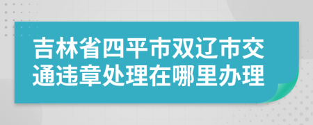 吉林省四平市双辽市交通违章处理在哪里办理