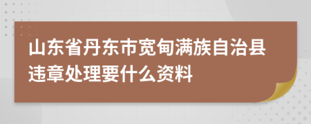 山东省丹东市宽甸满族自治县违章处理要什么资料