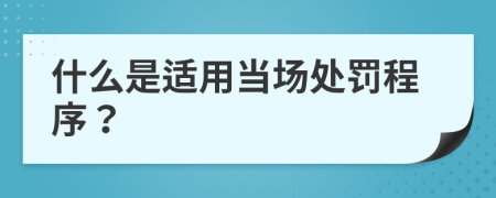 什么是适用当场处罚程序？