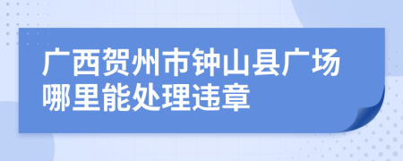 广西贺州市钟山县广场哪里能处理违章