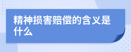 精神损害赔偿的含义是什么