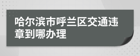 哈尔滨市呼兰区交通违章到哪办理