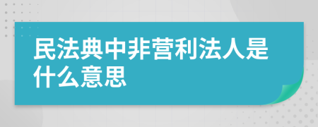 民法典中非营利法人是什么意思