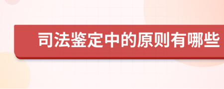 司法鉴定中的原则有哪些