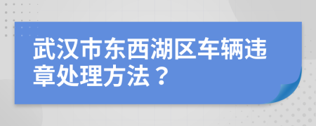 武汉市东西湖区车辆违章处理方法？