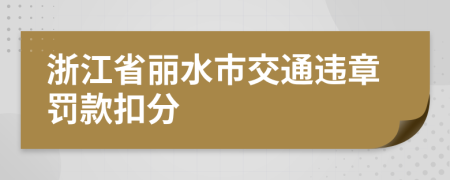 浙江省丽水市交通违章罚款扣分