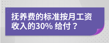 抚养费的标准按月工资收入的30% 给付？