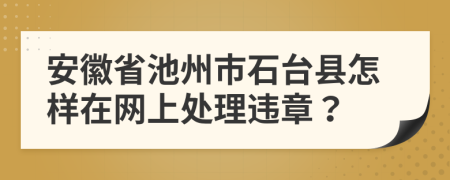 安徽省池州市石台县怎样在网上处理违章？