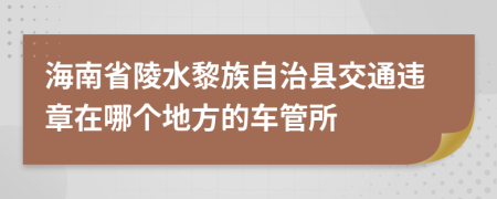 海南省陵水黎族自治县交通违章在哪个地方的车管所