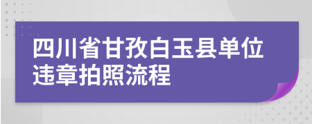 四川省甘孜白玉县单位违章拍照流程