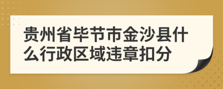 贵州省毕节市金沙县什么行政区域违章扣分