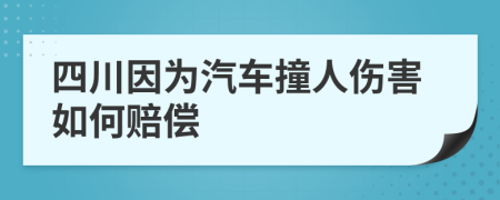 四川因为汽车撞人伤害如何赔偿