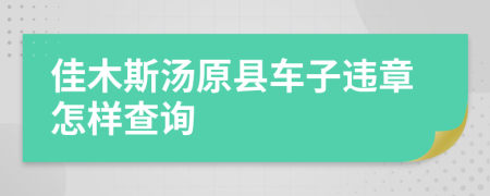 佳木斯汤原县车子违章怎样查询