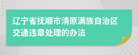 辽宁省抚顺市清原满族自治区交通违章处理的办法