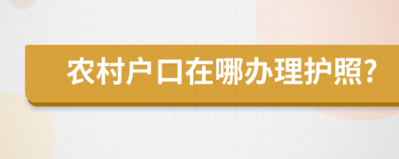 农村户口在哪办理护照?