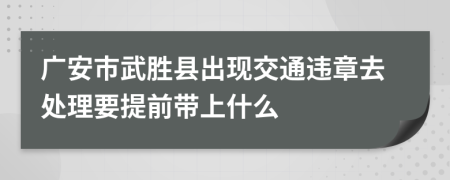 广安市武胜县出现交通违章去处理要提前带上什么