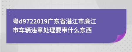 粤d9722019广东省湛江市廉江市车辆违章处理要带什么东西