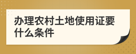 办理农村土地使用证要什么条件