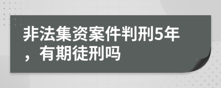 非法集资案件判刑5年，有期徒刑吗