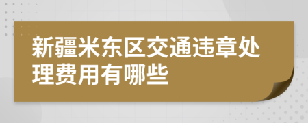 新疆米东区交通违章处理费用有哪些